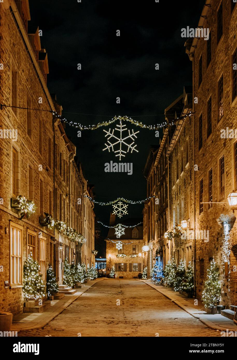 Old street Quebec City lit up at night decorated for Christmas holiday ...
