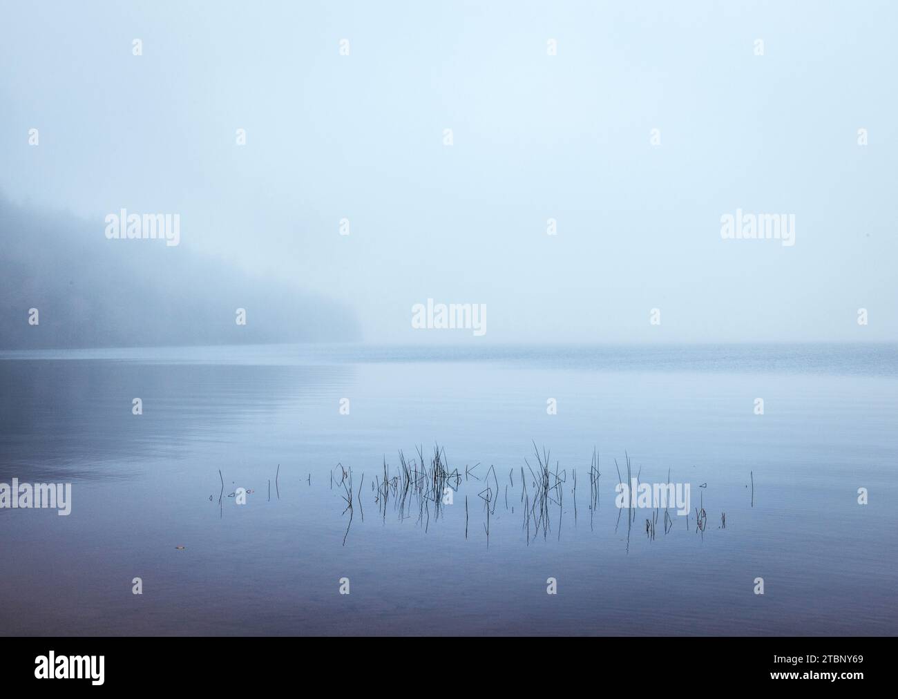 Tranquil lake with still water in fog with shoreline barely visible. Stock Photo