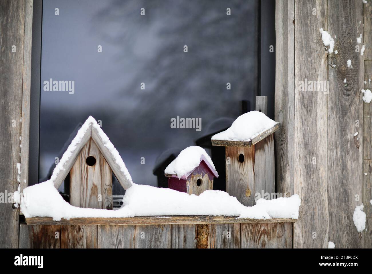 Birdhouses covered in a blanket of snow Stock Photo Alamy