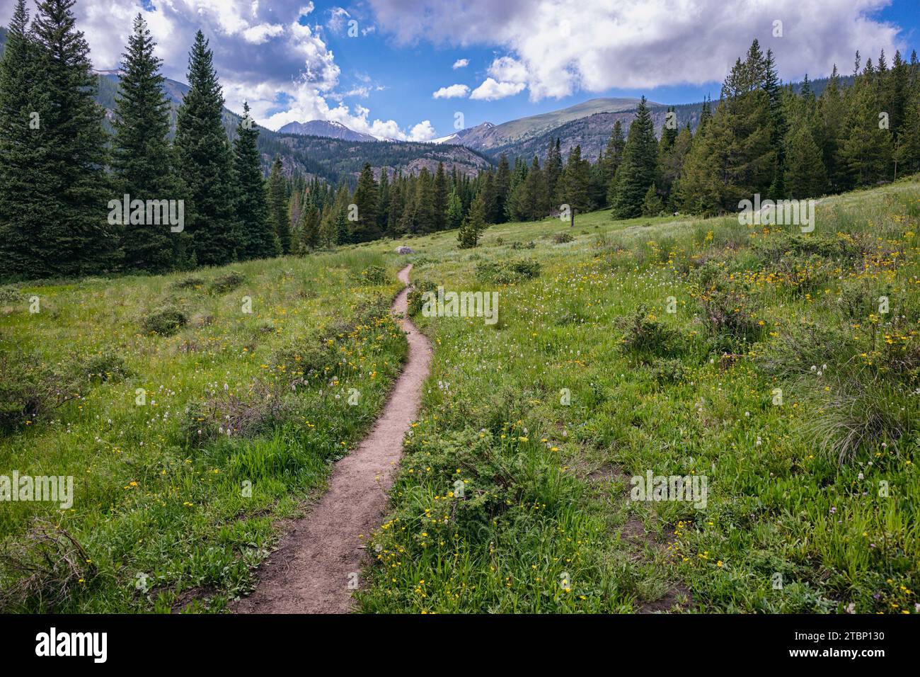 Landscape in the Indian Peaks Wilderness, Colorado Stock Photo Alamy