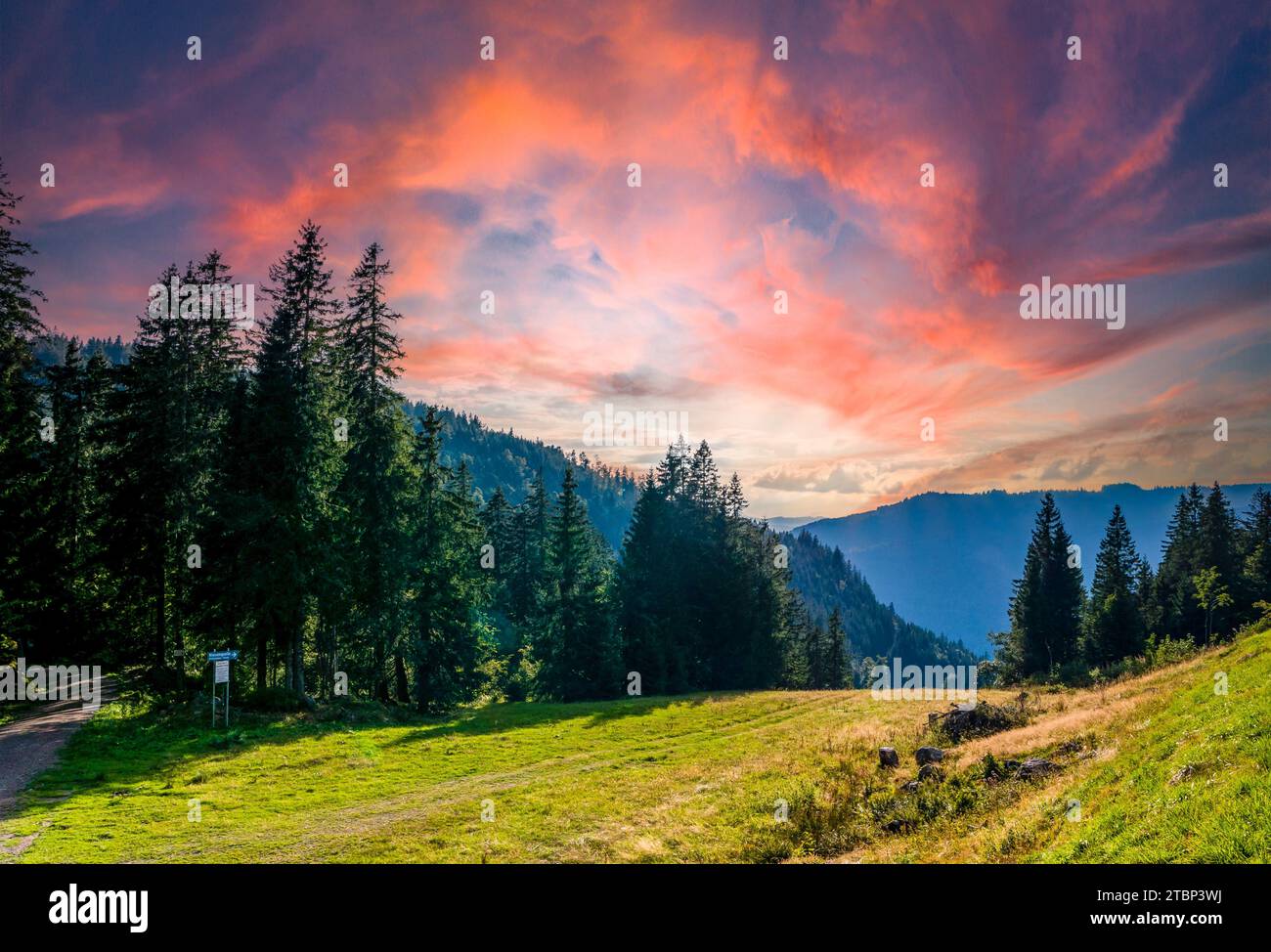Sunset in the Black Forest in Germany Stock Photo - Alamy