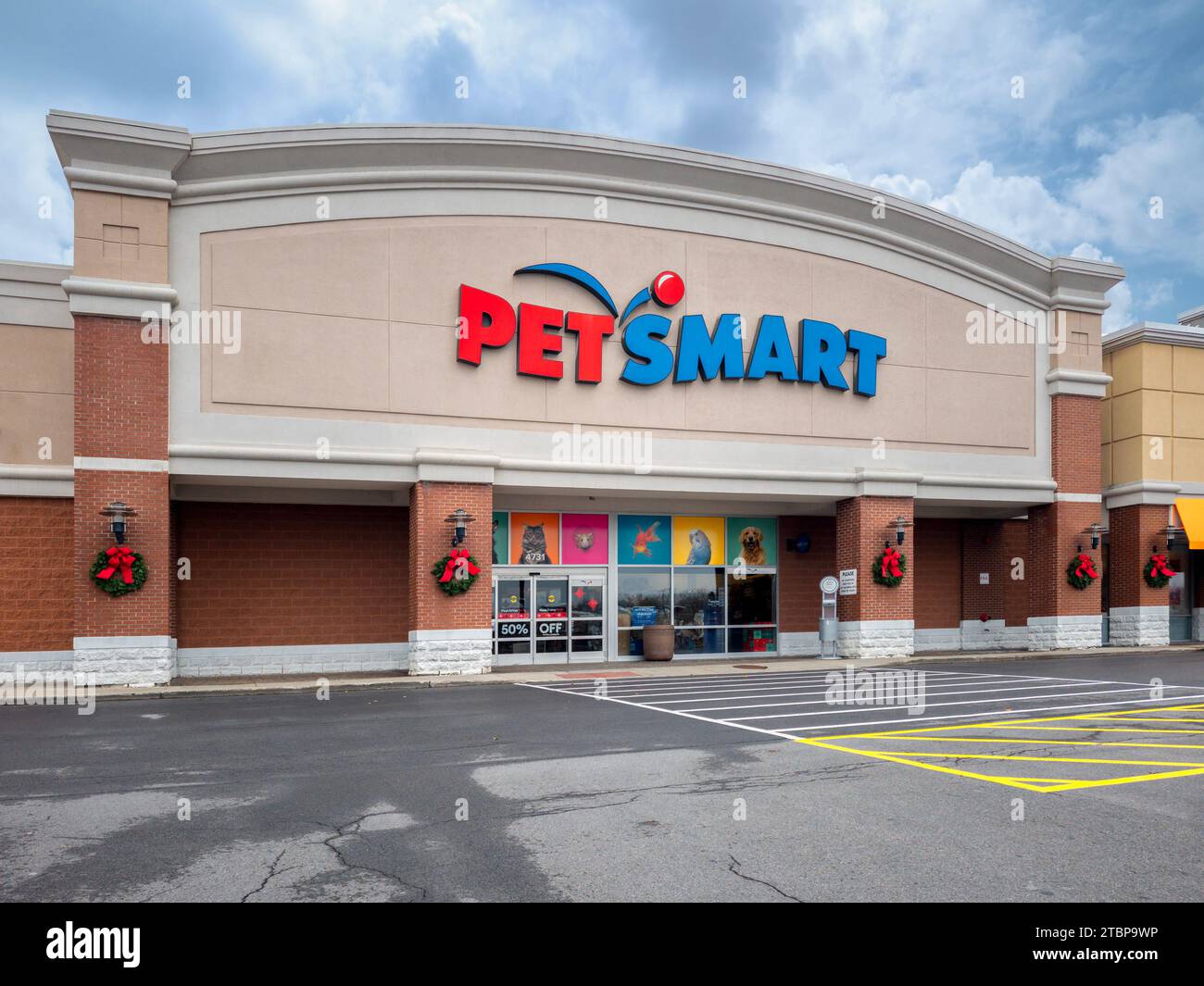 New Hartford, New York - Nov 23, 2023: Pet Smart building exterior, Petsmart, founded in 1986, is one of the largest pet supply retailers in North Ame Stock Photo