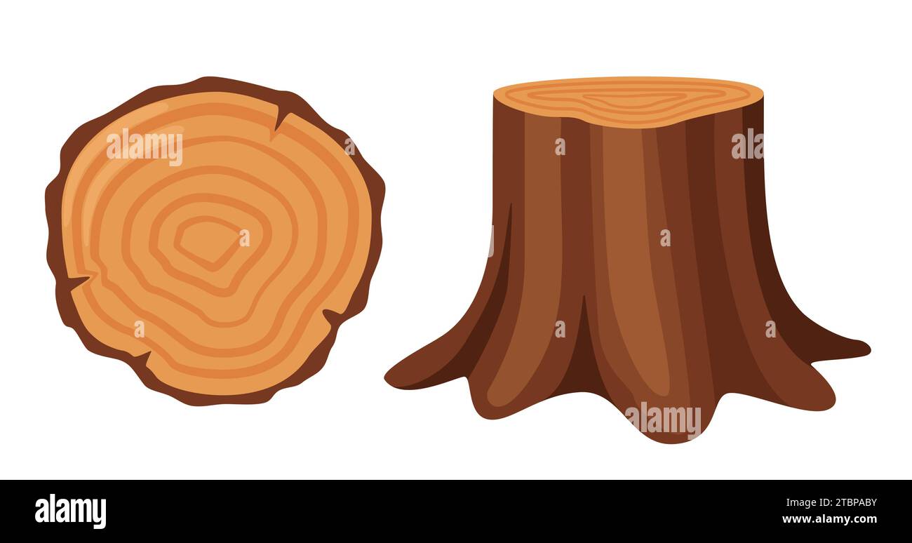Tree stump, side and top view. Forestry and lumber industry. Vector