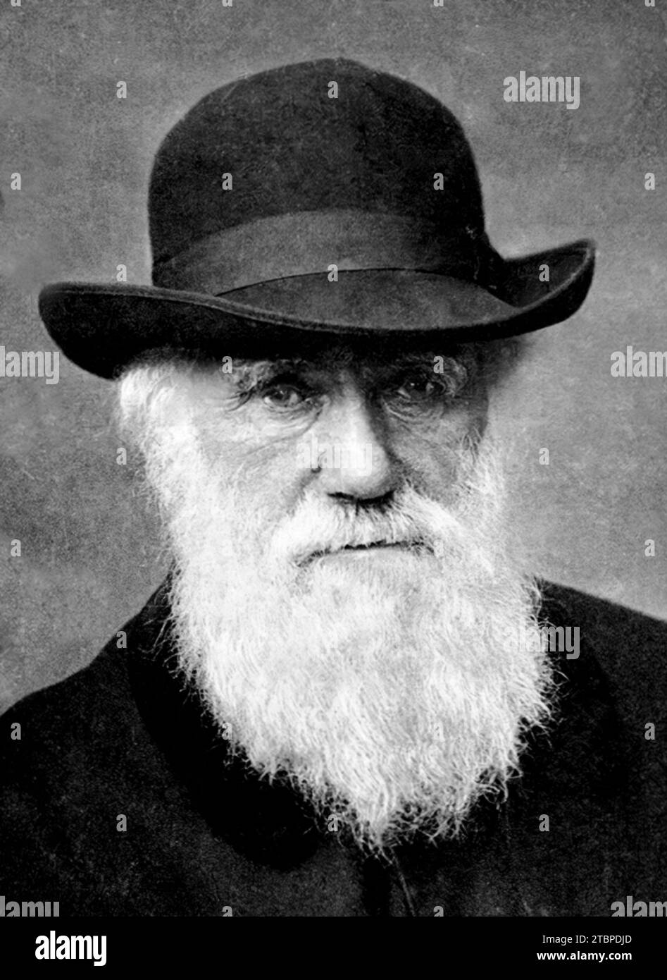 charles-darwin-portrait-in-hi-res-stock-photography-and-images-alamy