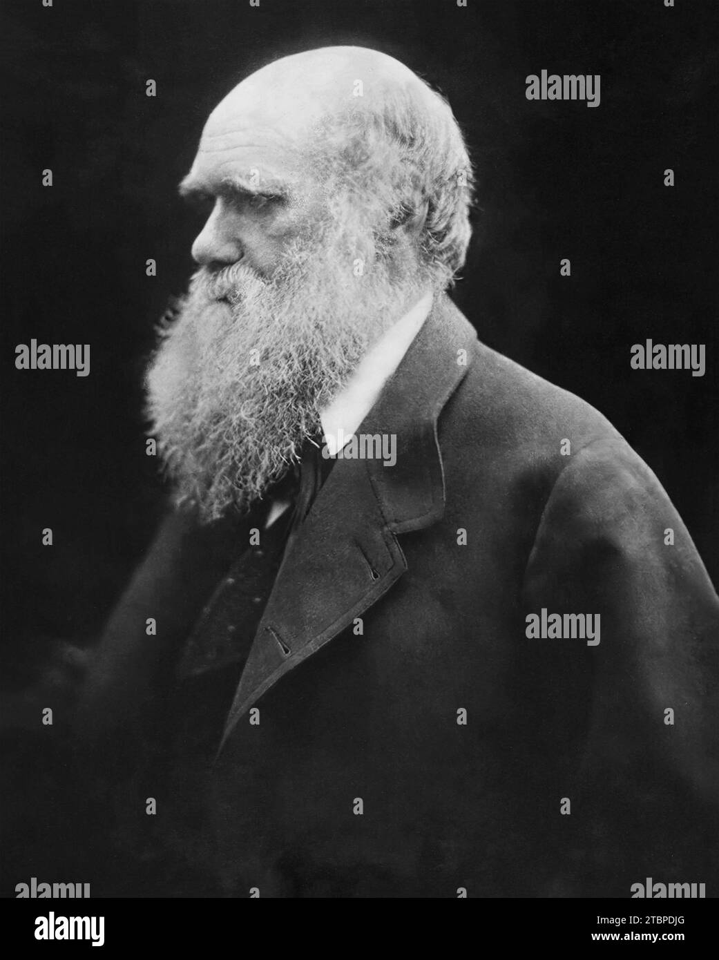 Suited man seated Black and White Stock Photos & Images - Alamy