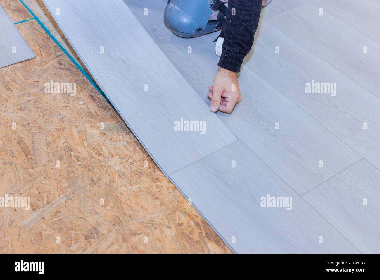 Worker installs vinyl laminate flooring in new residence Stock Photo