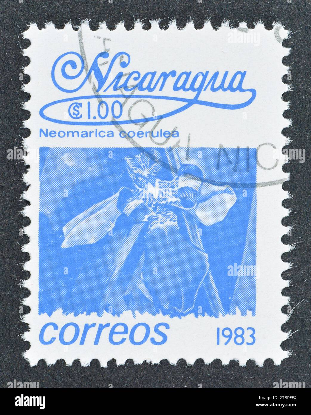 Cancelled postage stamp printed by Nicaragua, that shows Neomarica coerulea, circa 1983. Stock Photo