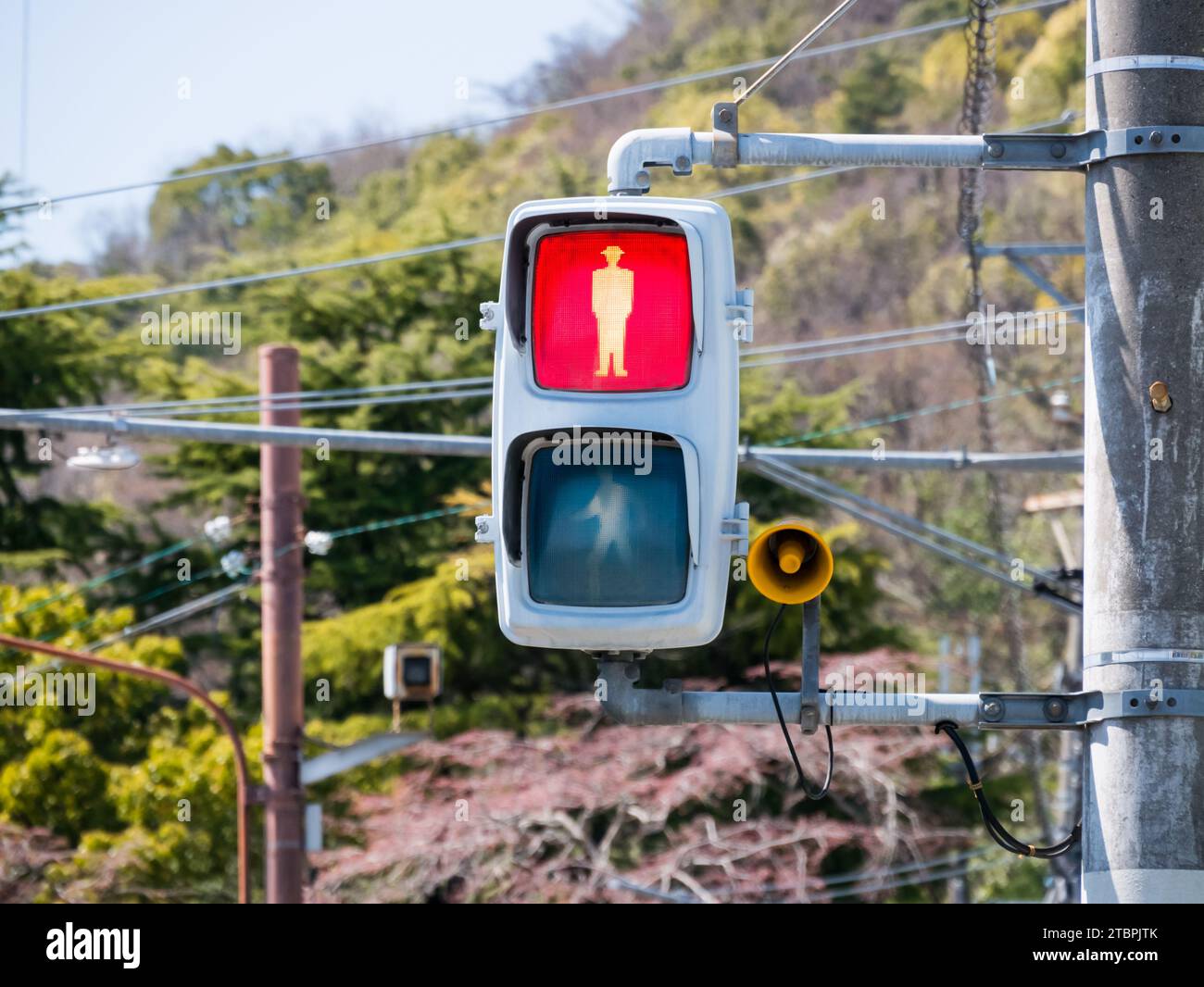 A red traffic signal illuminated against the backdrop of power lines and a blue sky Stock Photo
