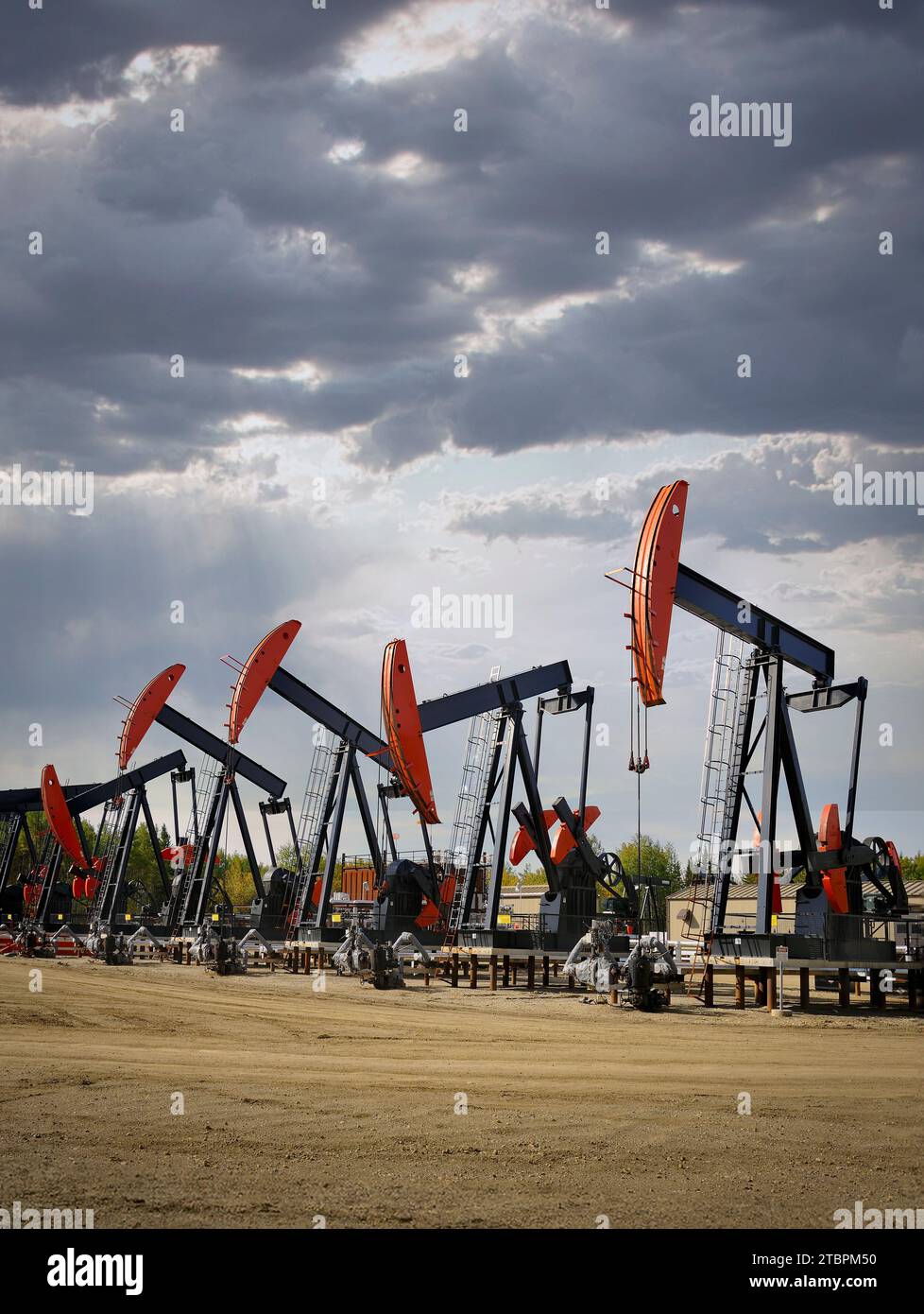 The pump jacks work in an industrial setting to extract natural oil from the ground Stock Photo