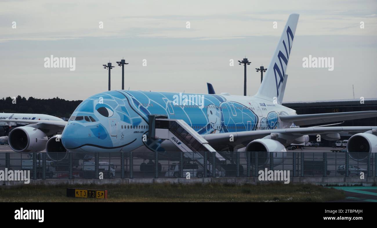 An ANA A380 blue whale is getting prepared for a flight at Narita ...