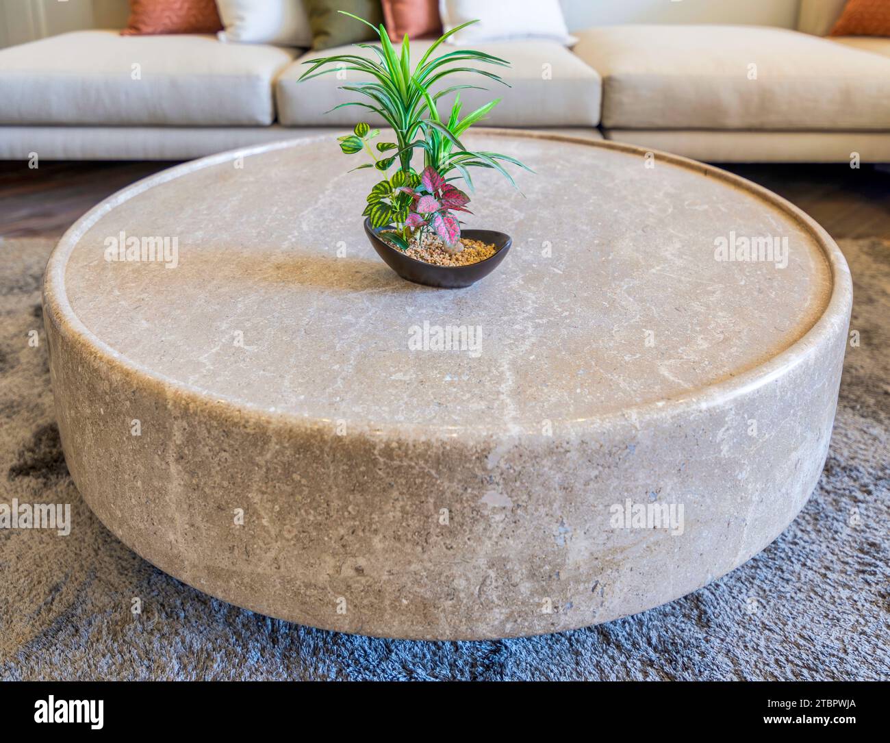 Close-up of a potted plant on a round marble coffee table with couch in ...
