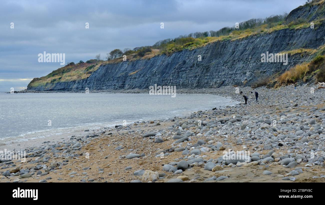 Couple fossil hunting on Monmouth Beach, Lyme Regis John Gollop Stock