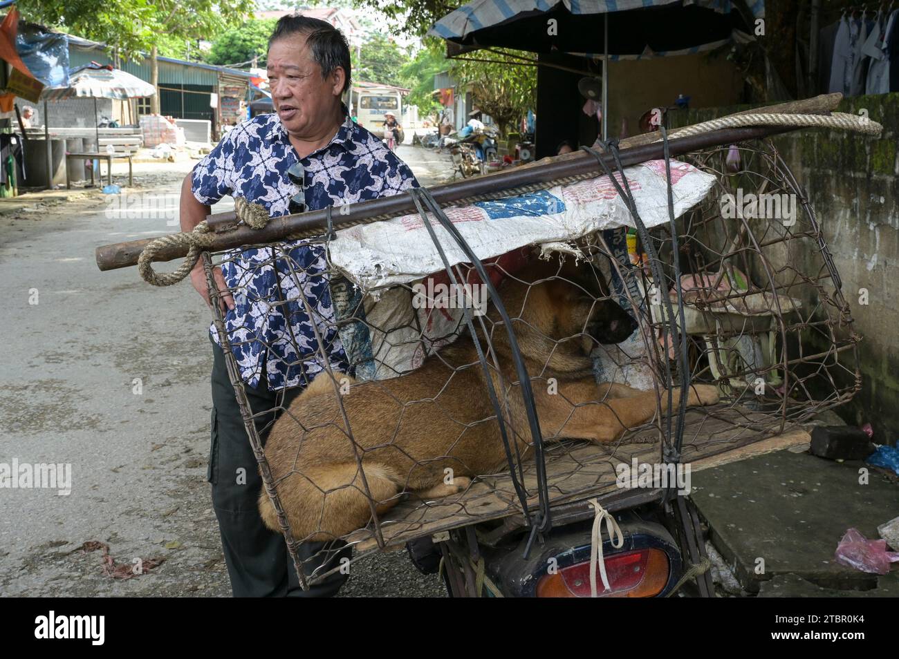VIETNAM, Yen Bai Province, village Cam Nhan, rural market, sale of live dog for dog meat / ländlicher Markt, Verkauf eines lebendigen Hundes für Hundefleisch Stock Photo
