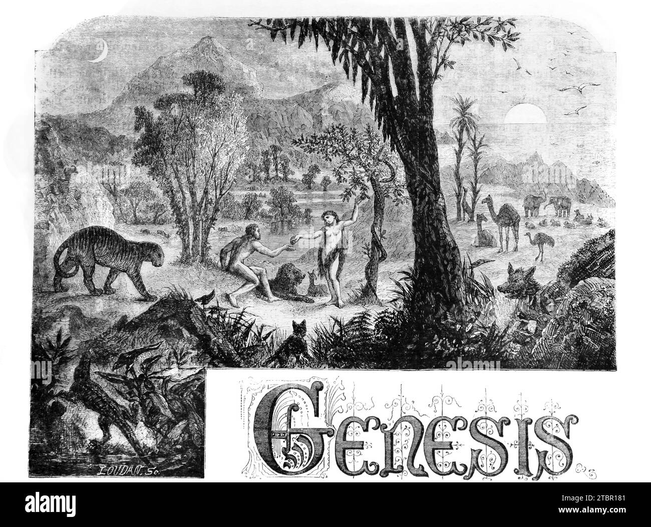 Illustration of Adam and Eve and the Temptation in the Garden of Eden (Genesis) from Antique Self Interpreting Family Bible Stock Photo