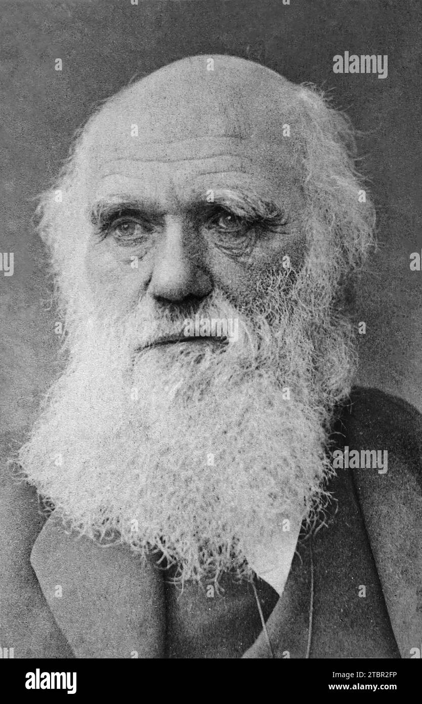 Charles Darwin. circa 1881. Photographed by Herbert Rose Barraud. Stock Photo