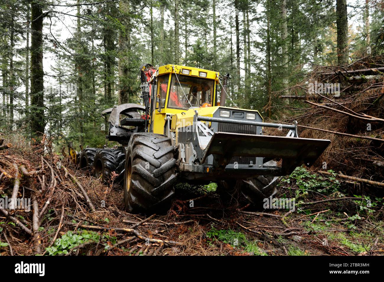 Machine for processing wood is in the forest Stock Photo