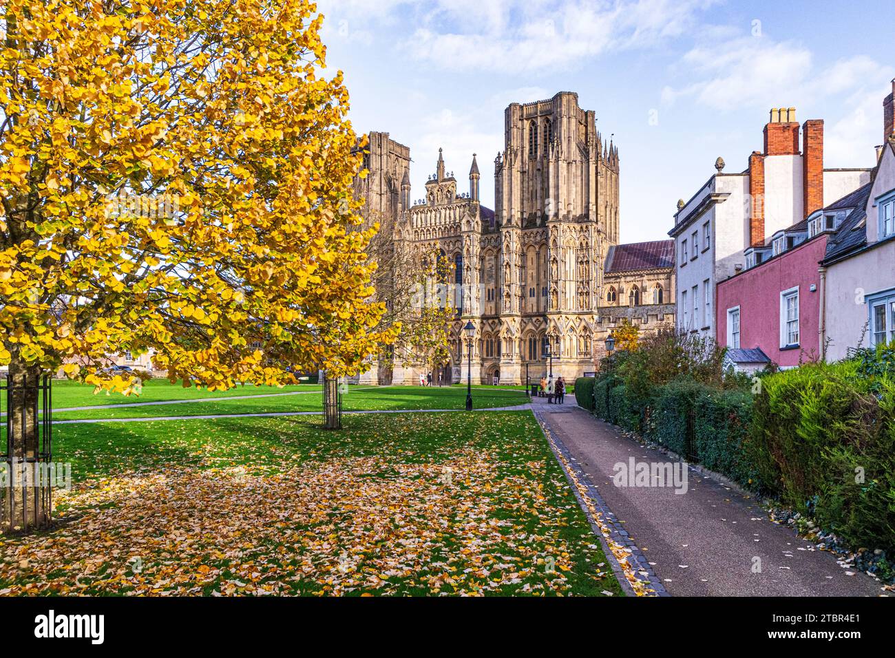 Autumn colours on the cathedral green in front of the west front of Wells Cathedral, Wells, Somerset, England UK Stock Photo