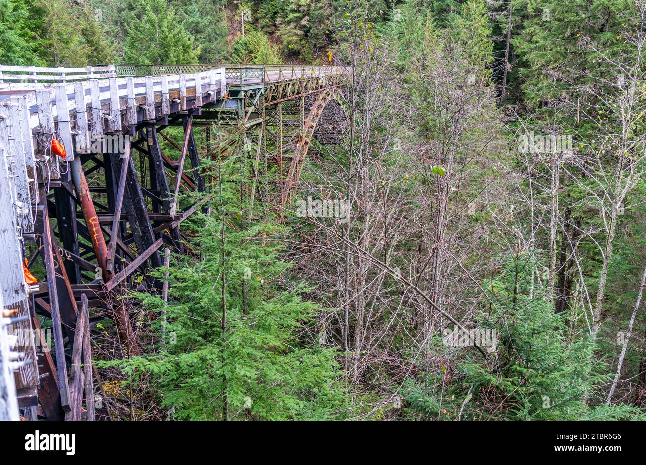 A view of a brdige high above the Carbon River in Washington State. Stock Photo