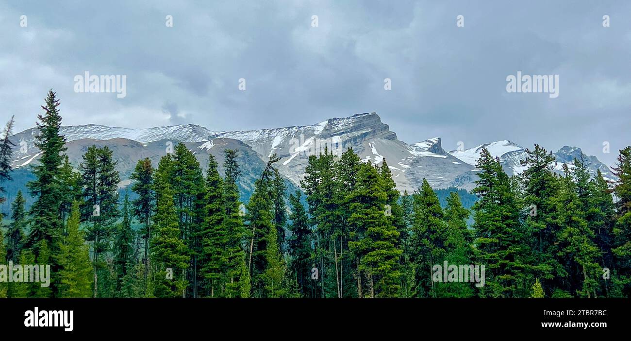 A panorama of glacier covered mountains along Maligne Lake Road in Jasper National Park near Jasper, Alberta Canada on a cloudy day. Stock Photo