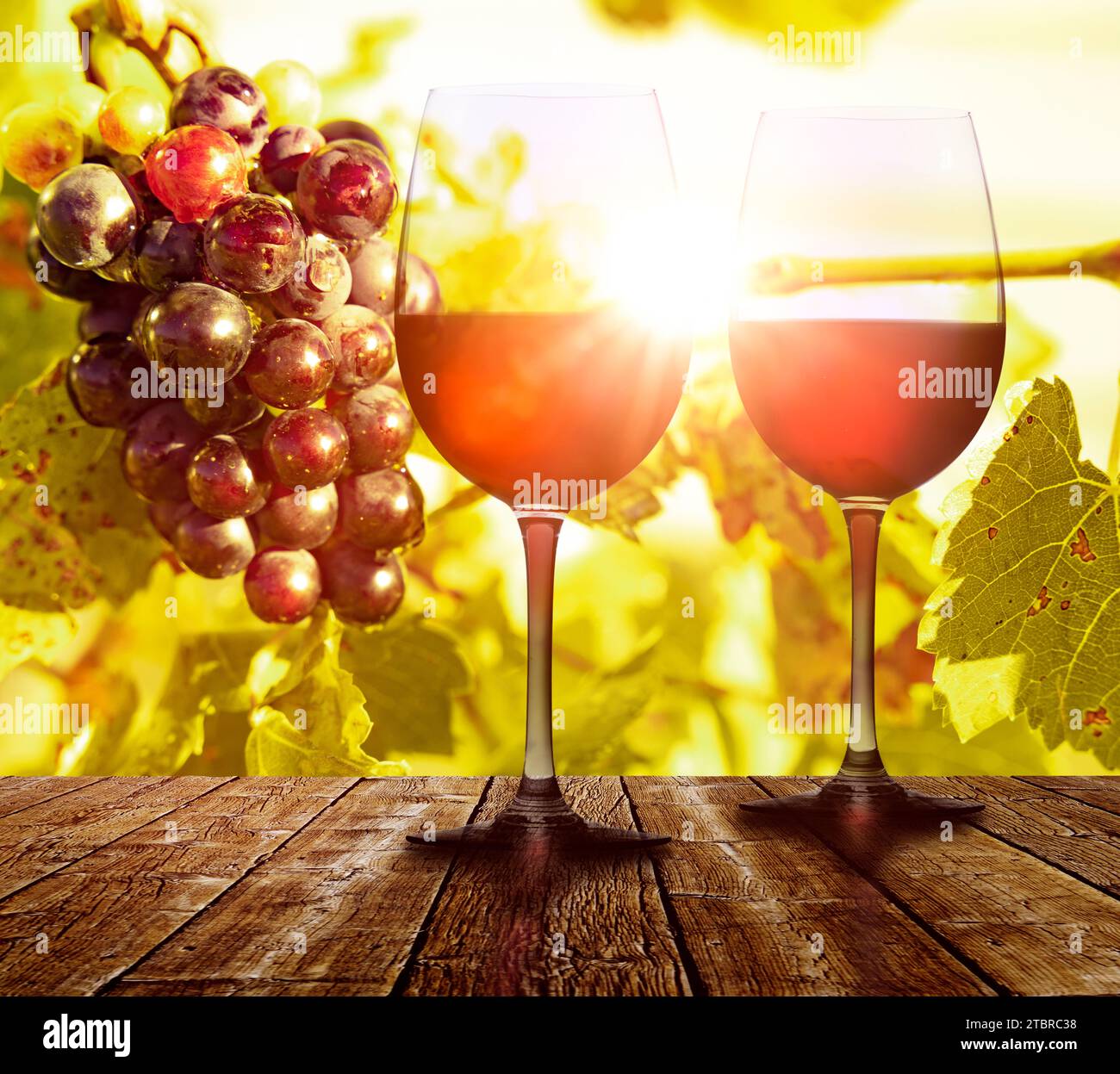 Grapes on the vine with red wine glass against the light Stock Photo