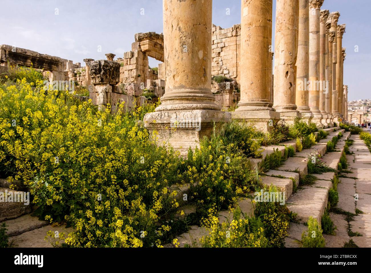 The ancient Roman city of Gerasa, Jerash in Jordan, Asia Stock Photo ...