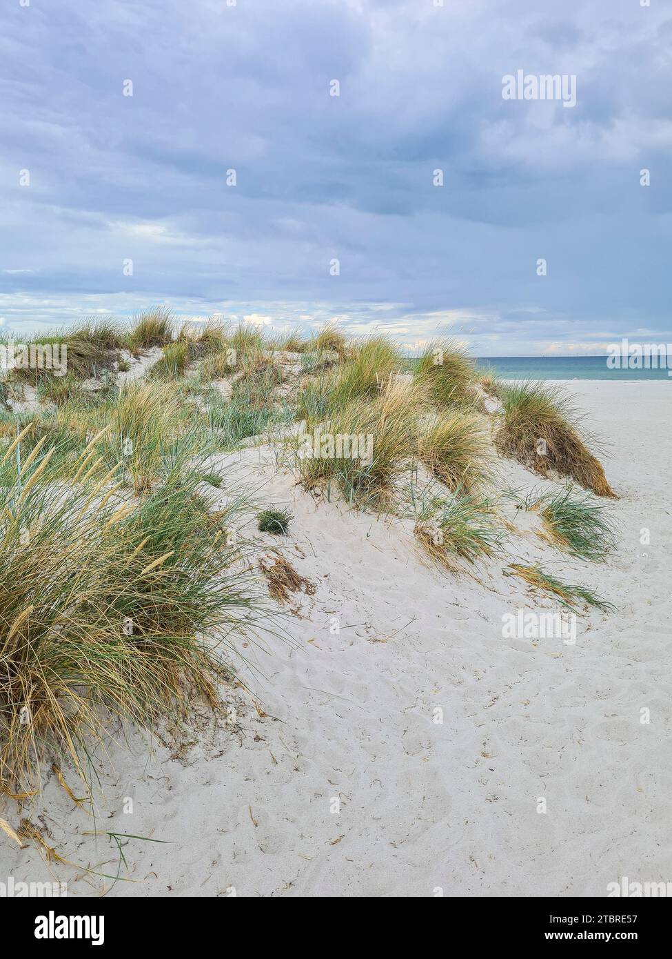 Germany, Mecklenburg-Western Pomerania, peninsula Fischland-Darß-Zingst, fine sandy beach with dune grass at the beach crossing in Prerow Stock Photo