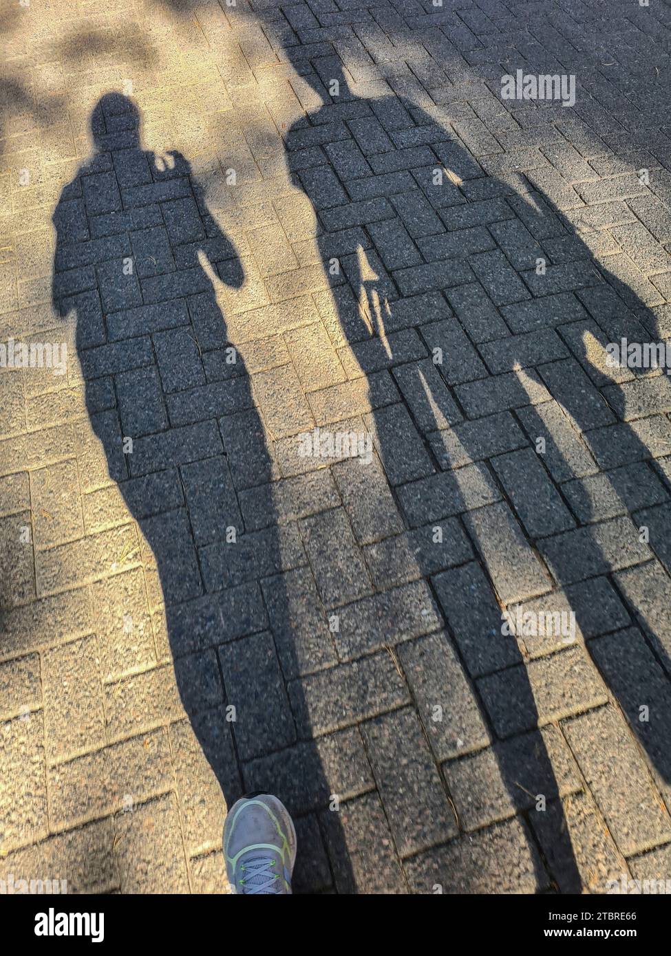 Teenagers and young people take pictures with smartphone of their long shadows on the street in summer evening light, Prerow, Fischland-Darß-Zingst peninsula, Mecklenburg-Western Pomerania, Germany Stock Photo