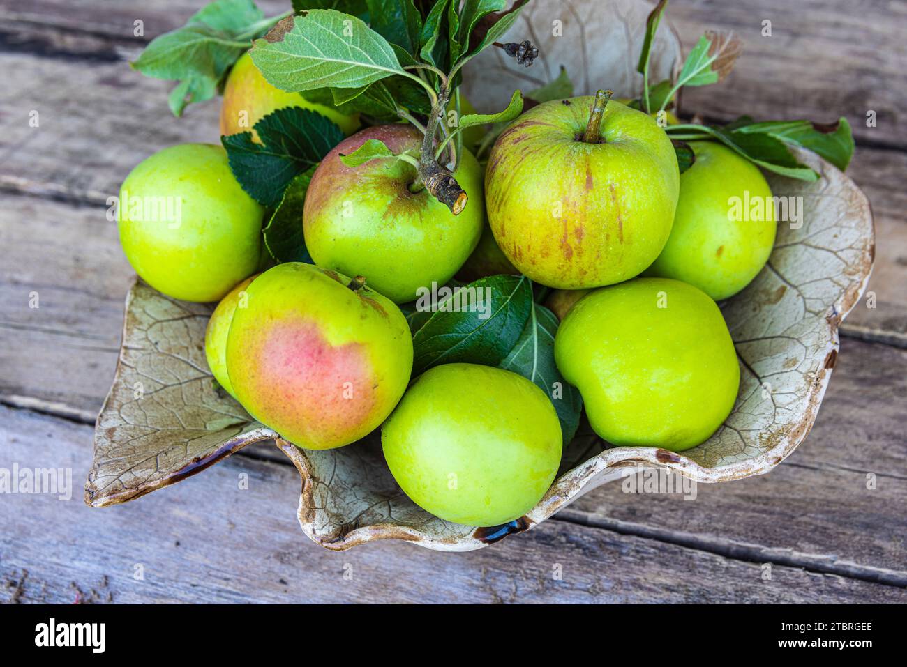 Lucy Glo Apples Near Me: Discover the Perfect Snack Near Your Location