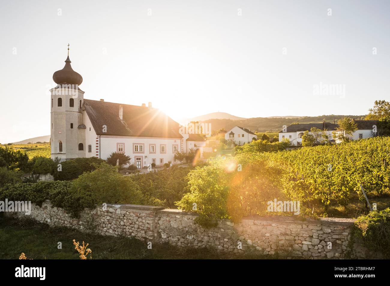 Freigut Thallern, also known as Stiftsweingut Heiligenkreuz, winery of Heiligenkreuz Abbey, Thallern, Gumpoldskirchen, Lower Austria, Austria, Europe Stock Photo