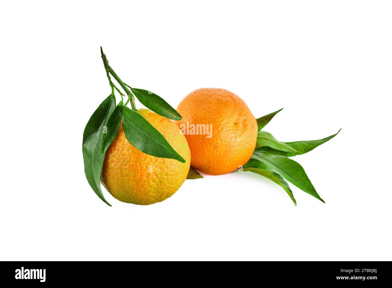 Tangerine or clementine orange fruit with green leaf isolated on white
