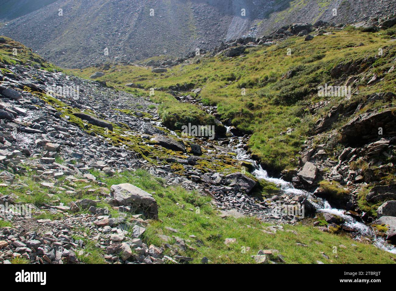 atmospheric course of the Seebach stream on the hiking trail to Hundstaller See (2289m), hiking tour near Inzing, Innsbruck Land, Stubai Alps, Tyrol, Austria Stock Photo