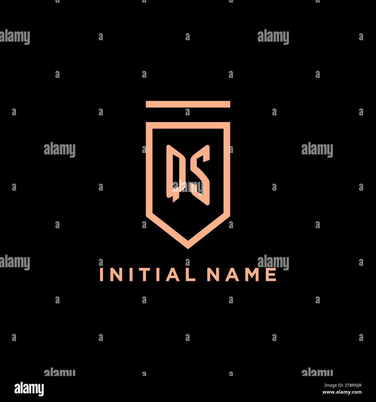 QS monogram initial with shield logo design icon vector graphic Stock Vector