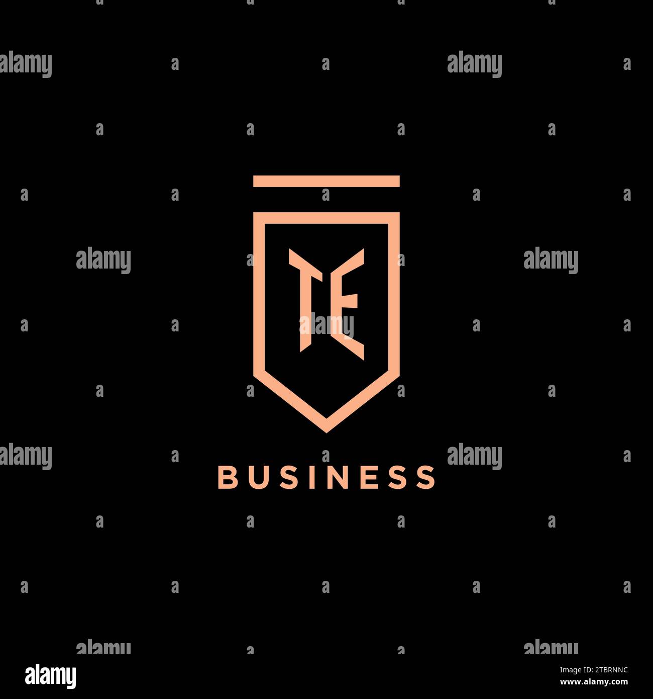 TE monogram initial with shield logo design icon vector graphic Stock Vector