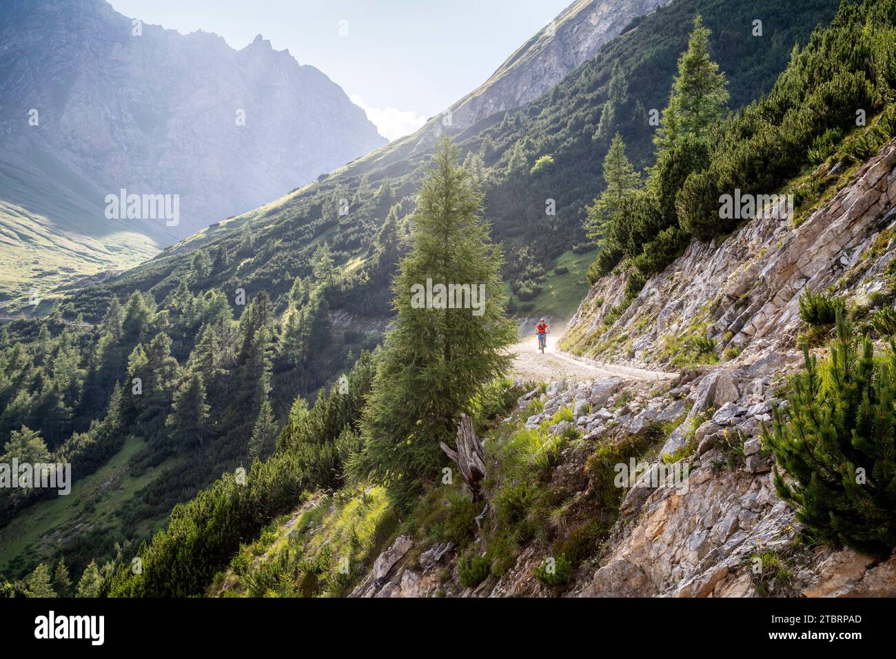 Italy, South Tyrol, province of Bolzano, Val di Vizze / Pfitscher Tal, young rider on a mountain bike along the forest road leading from the Passo della Chiave / Schlüsseljoch Stock Photo