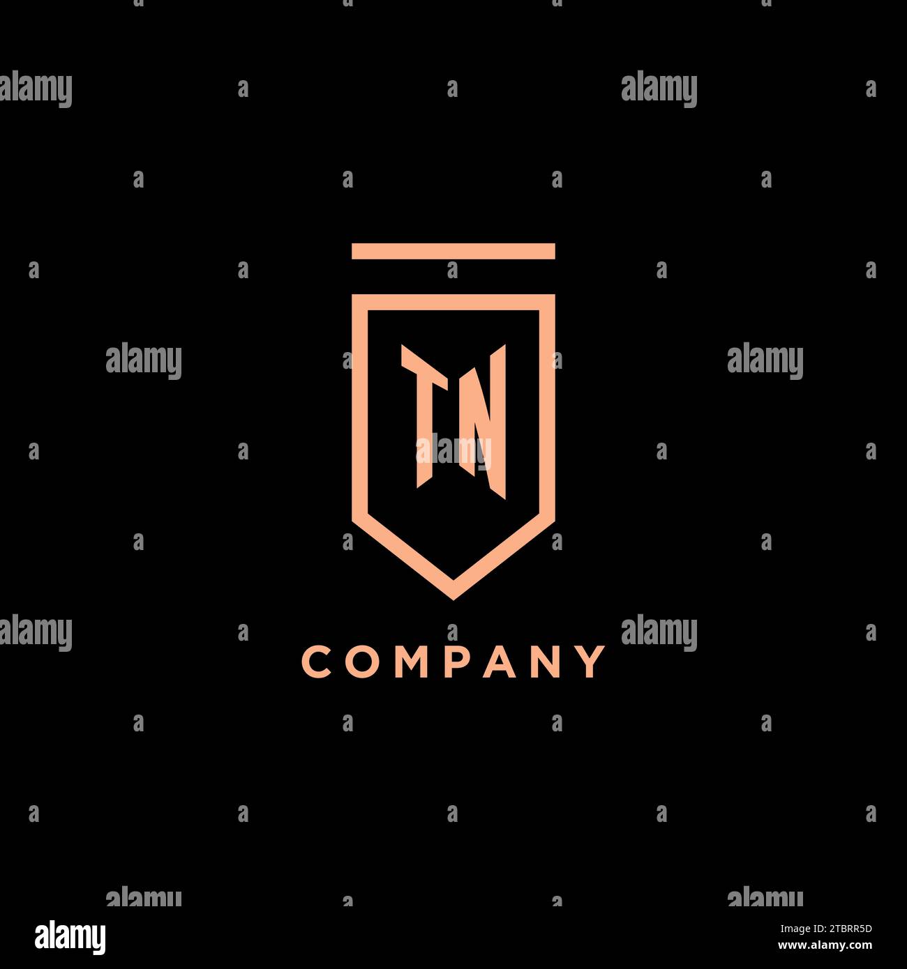 TN monogram initial with shield logo design icon vector graphic Stock Vector