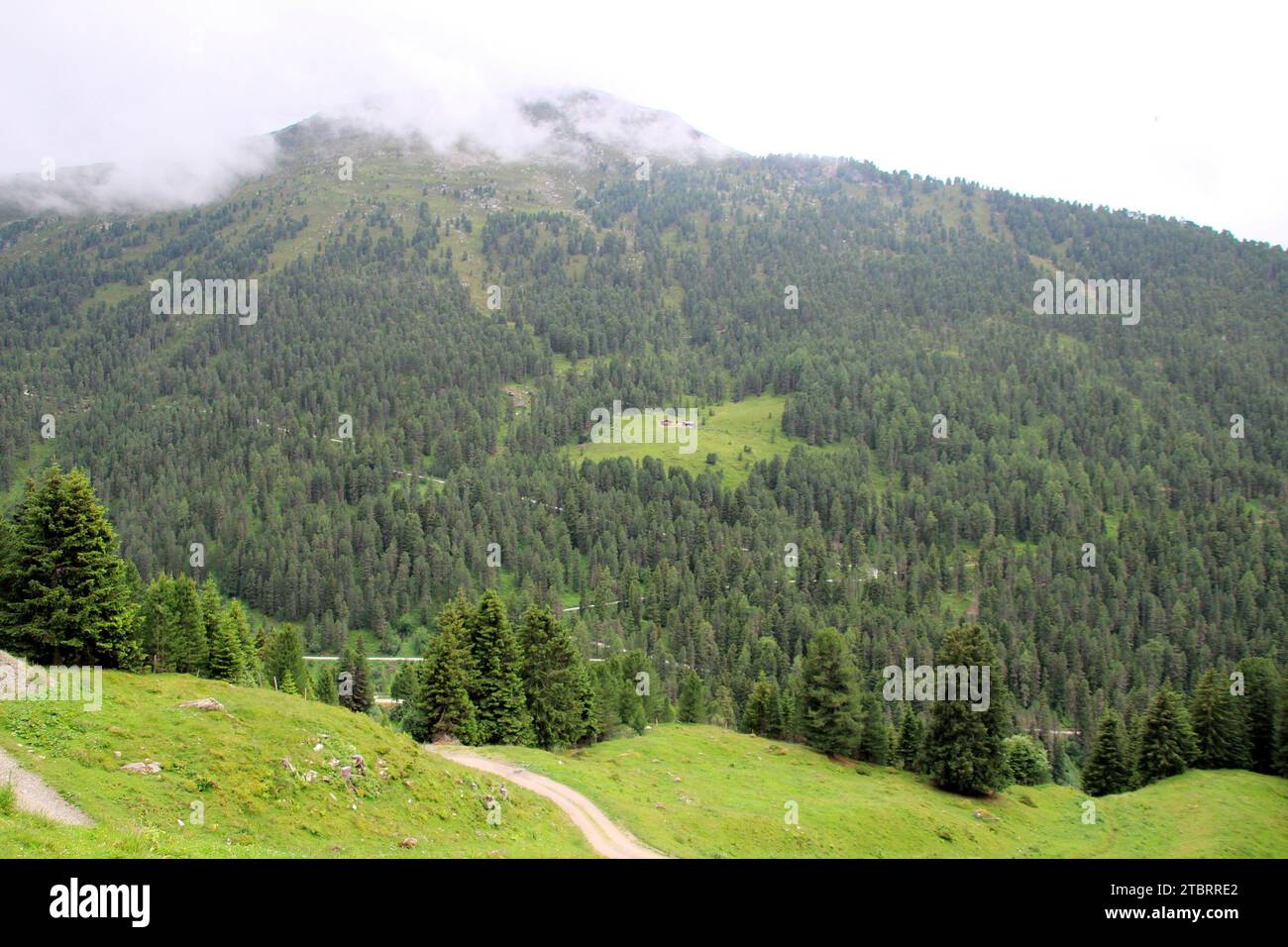 View from the Außermelang-Alm in the Wattener Lizum, Wattens, Walchen, Tyrol, Austria, Europe Stock Photo