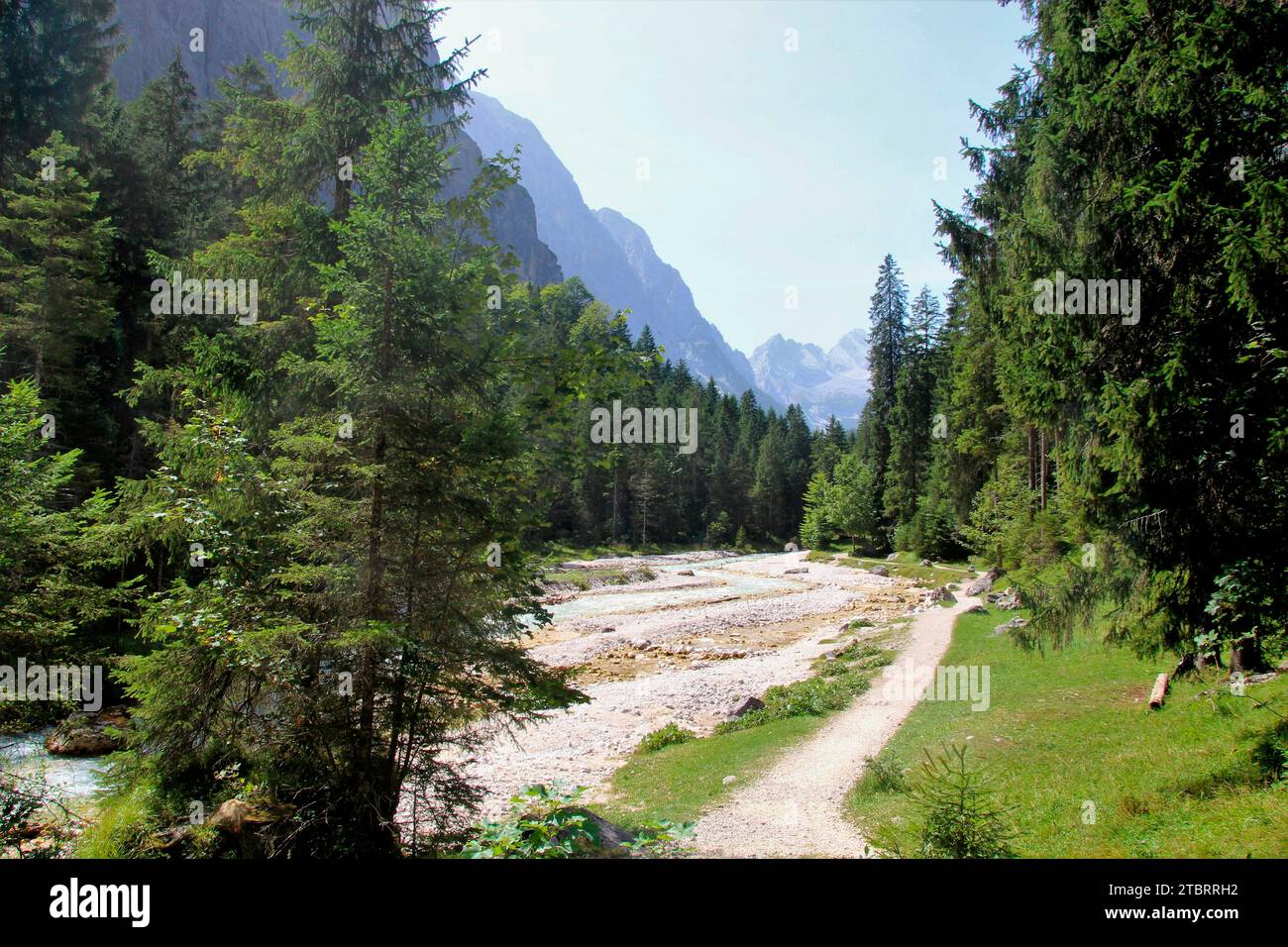 Hiking trail to the Reintalangerhütte in the immediate vicinity of the Bockhütte, Reintalanger, Wettersteingebirge Garmisch-Partenkirchen, Upper Bavaria, Bavaria, Southern Germany, Germany, Europe Stock Photo