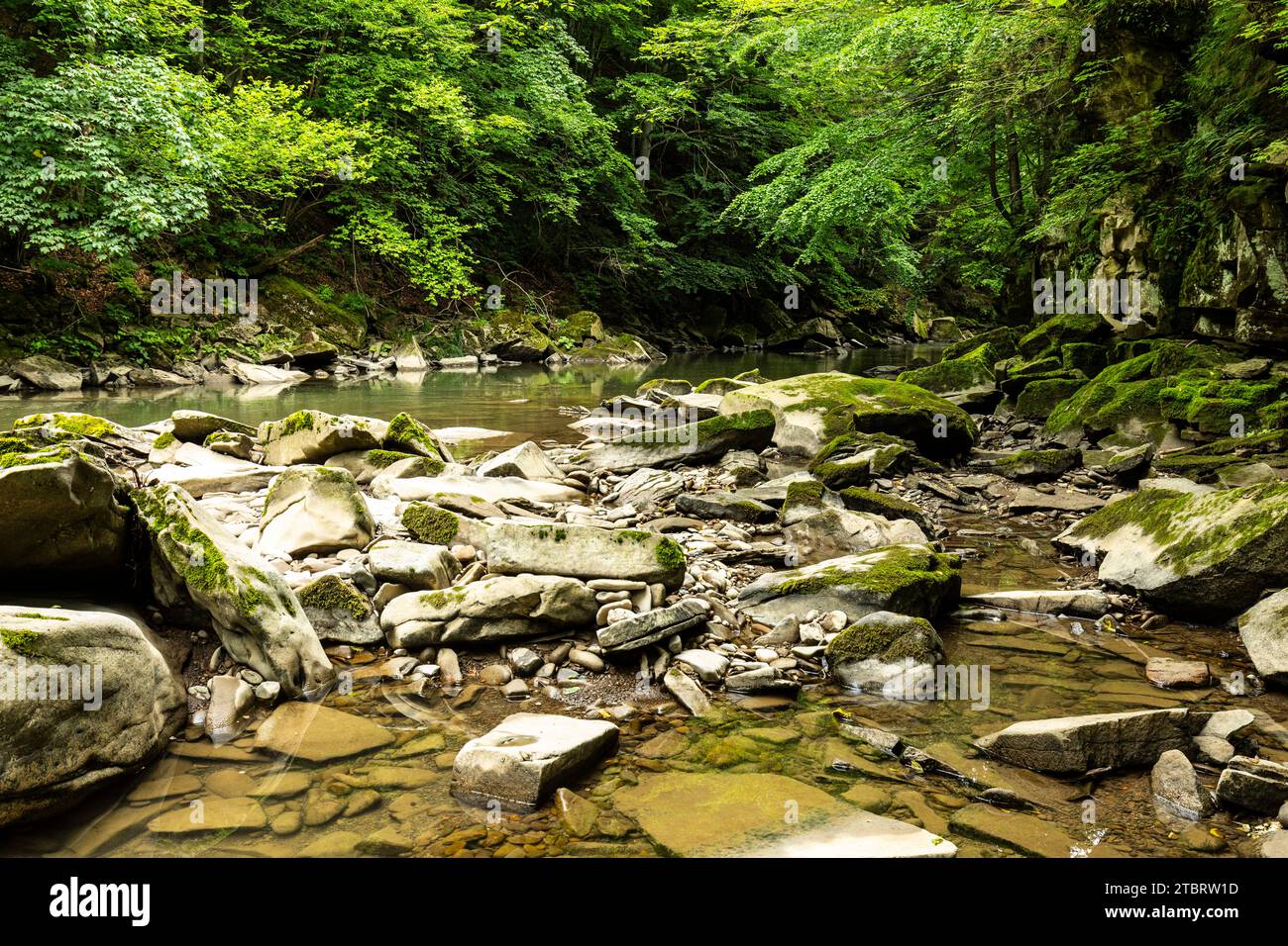 Europe, Poland, Podkarpackie Voivodeship, Bieszczady Mountains, Sine Wiry, Wetlina river Stock Photo