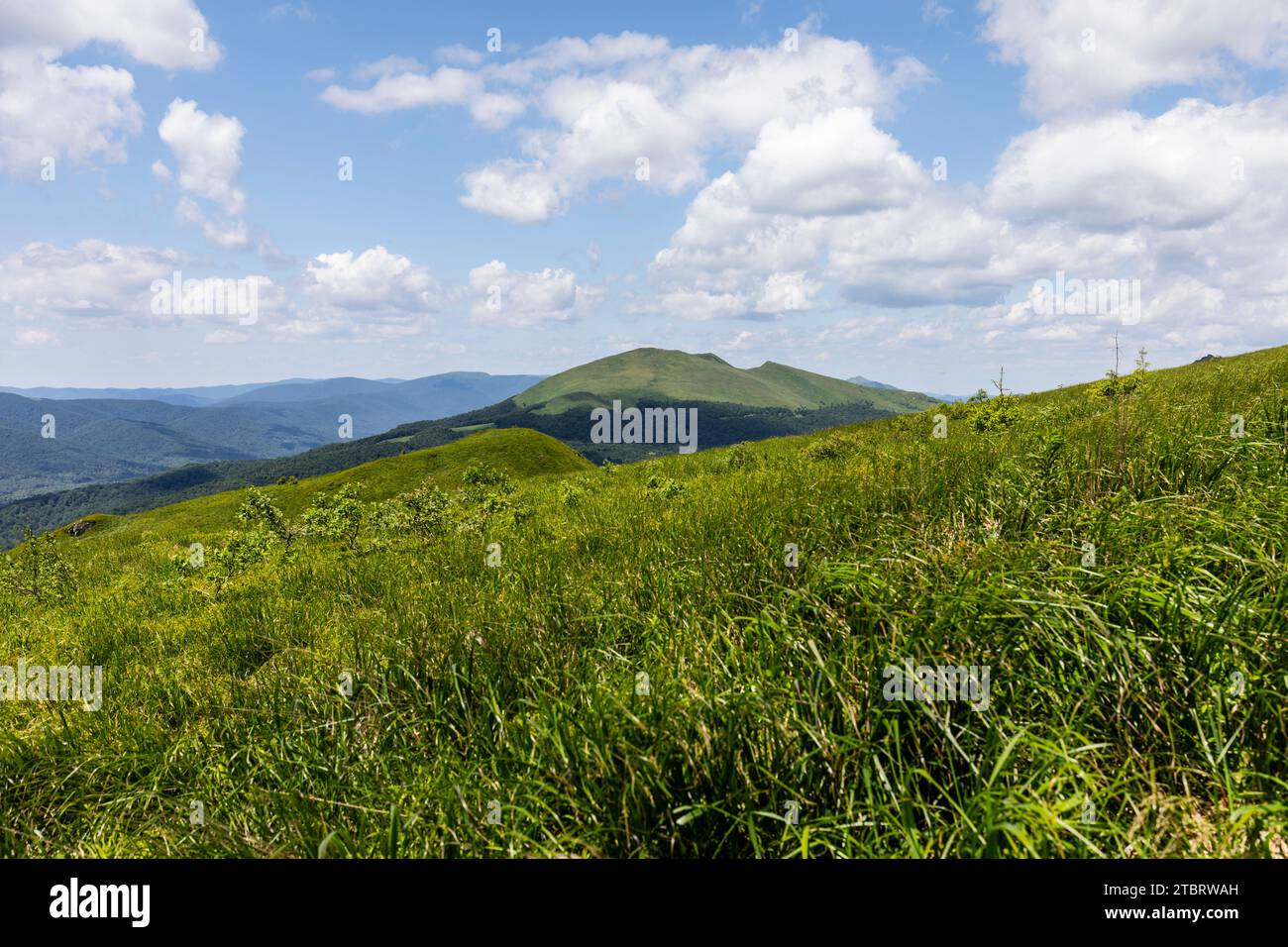 Europe, Poland, Podkarpackie Voivodeship, Bieszczady, Rozsypaniec, Bieszczady National Park Stock Photo