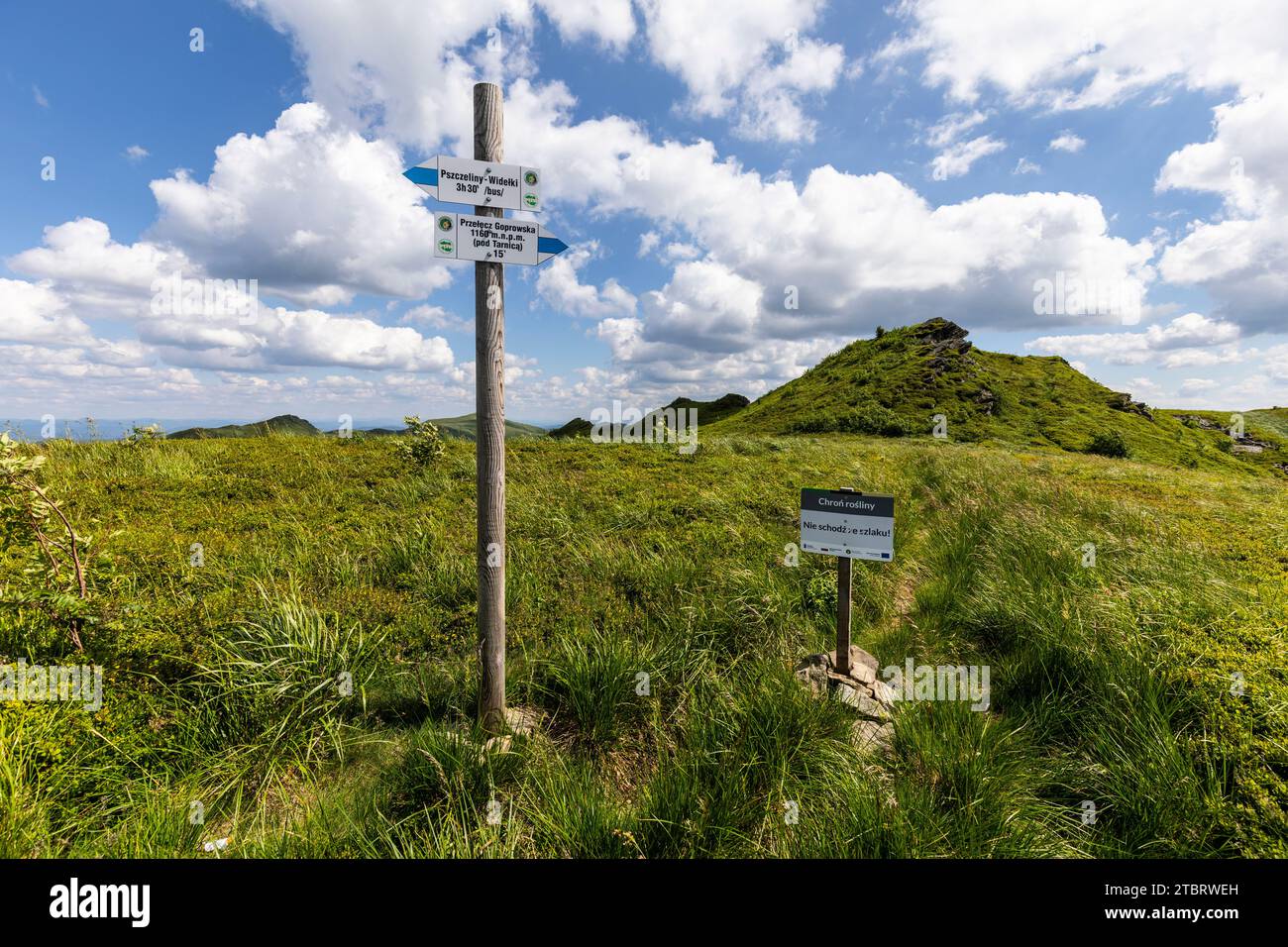 Europe, Poland, Podkarpackie Voivodeship, Bieszczady, Krzemien, Bieszczady National Park Stock Photo