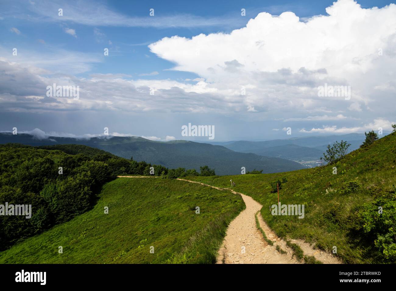 Europe, Poland, Podkarpackie Voivodeship, Bieszczady, Mala Rawka, Bieszczady National Park Stock Photo