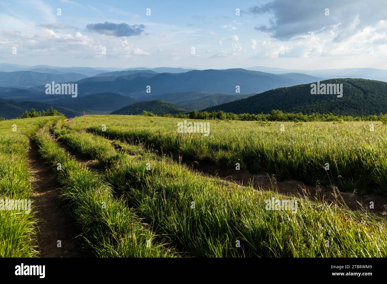 Europe, Poland, Podkarpackie Voivodeship, Bieszczady, Wielka Rawka, Bieszczady National Park Stock Photo