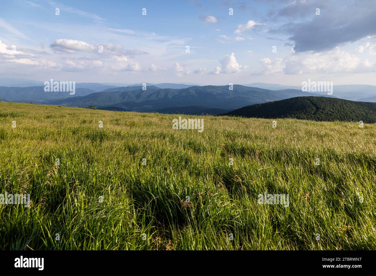 Europe, Poland, Podkarpackie Voivodeship, Bieszczady, Krzemieniec, Bieszczady National Park, peak three borders meet Stock Photo