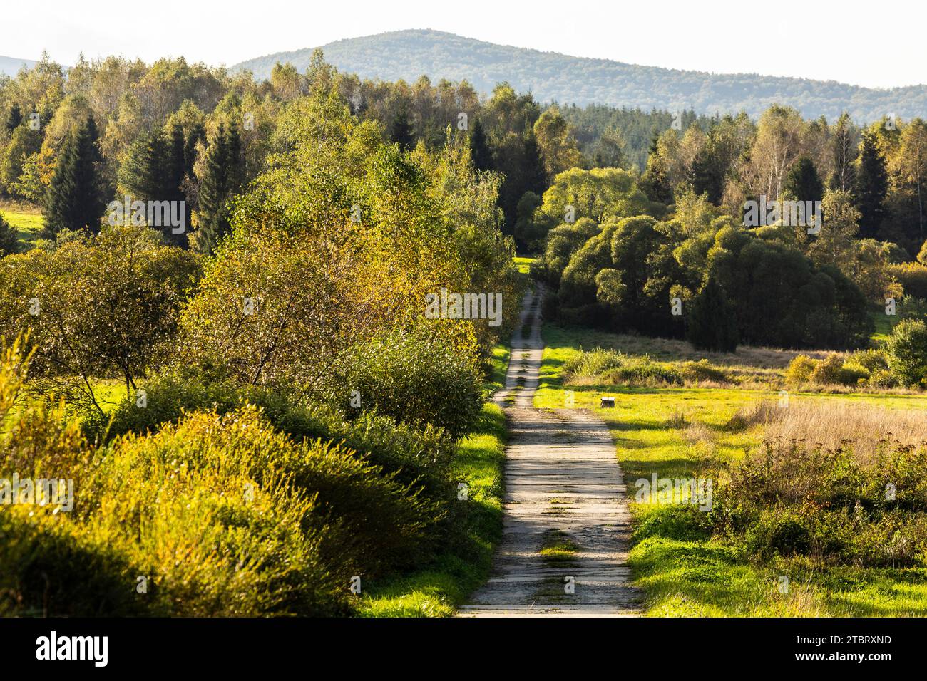 Europe, Poland, Podkarpackie Voivodeship, Bieszczady Mountains, former village Sokoliki Stock Photo