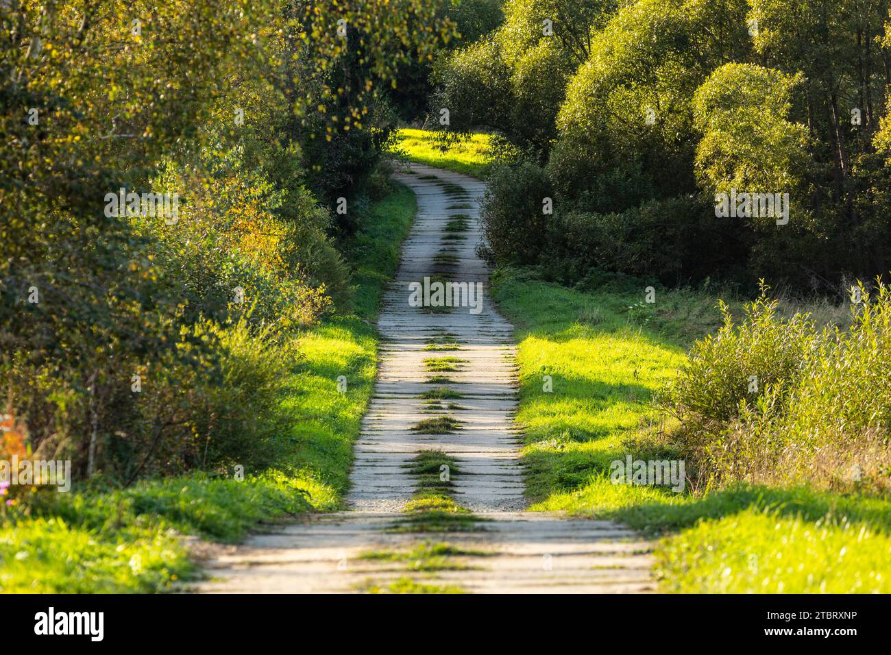 Europe, Poland, Podkarpackie Voivodeship, Bieszczady Mountains, former village Sokoliki Stock Photo