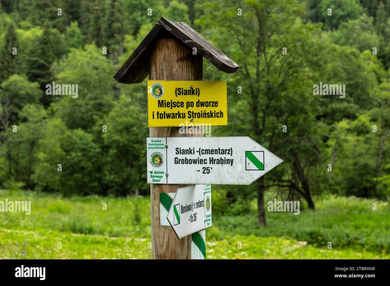 Europe, Poland, Podkarpackie Voivodeship, Bieszczady Mountains, Ruins of the manor house Stroinskich / Ruiny dworu Stroinskich Stock Photo