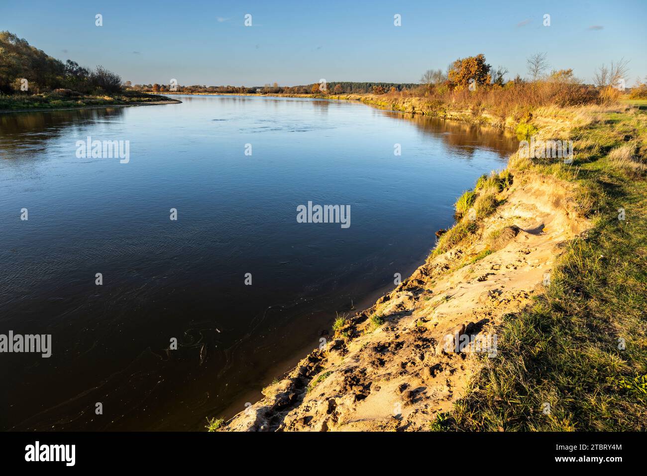 Europe, Poland, Voivodeship Masovian, Bug river near Branszczyk Stock Photo