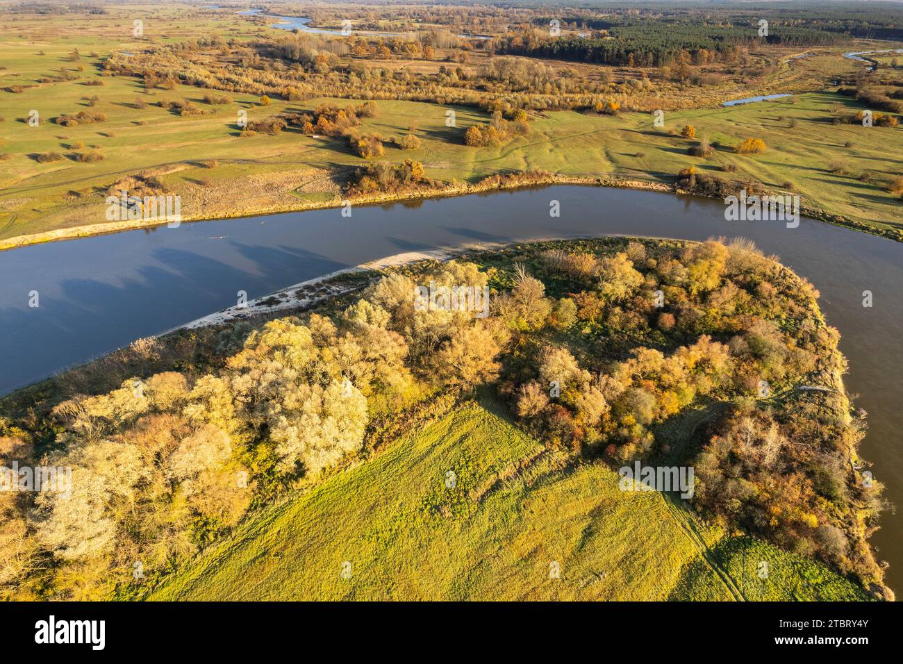 Europe, Poland, Voivodeship Masovian, Bug river near Branszczyk Stock Photo