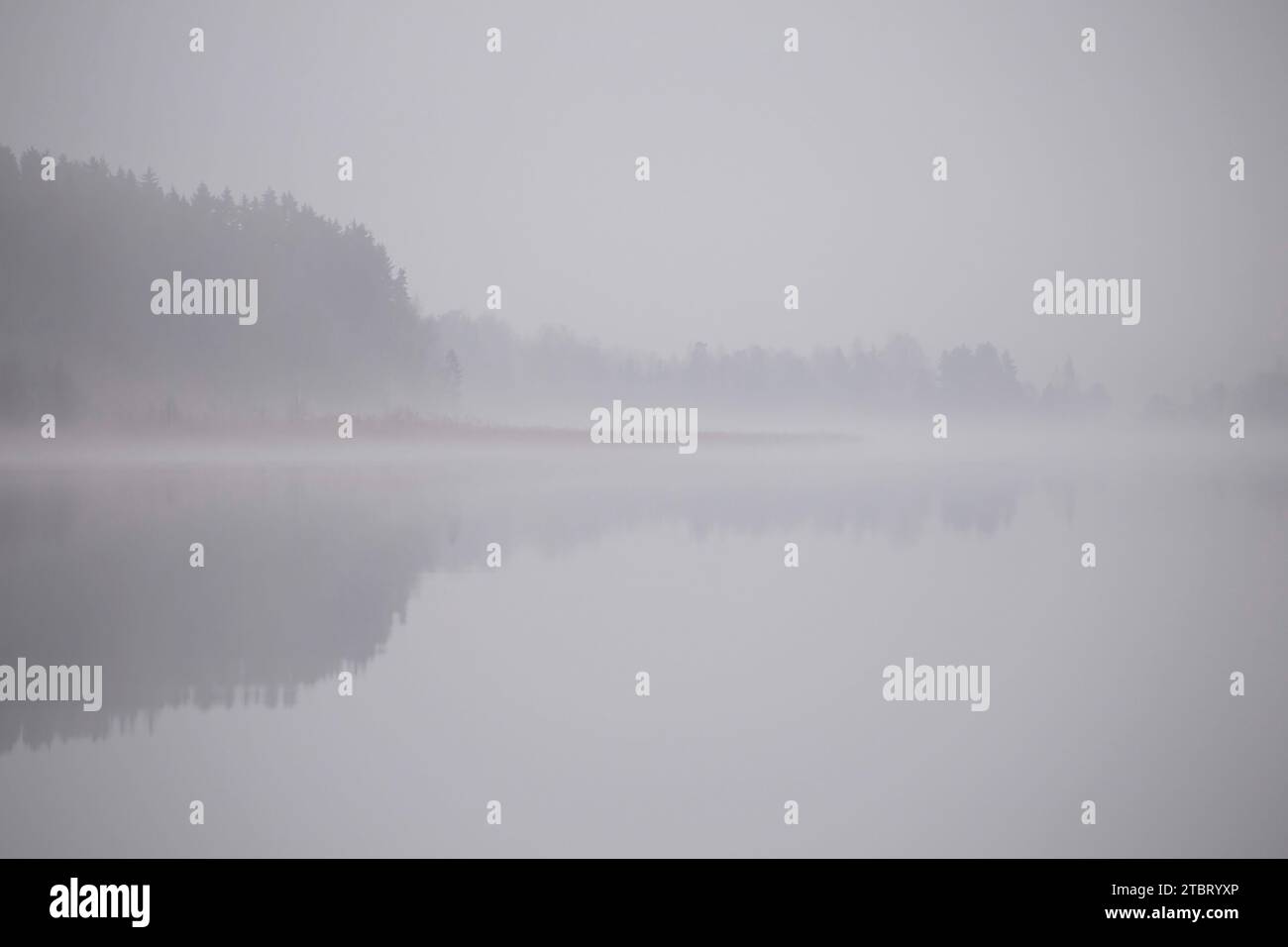 Misty lake landscape, thick fog on an autumn morning Stock Photo - Alamy