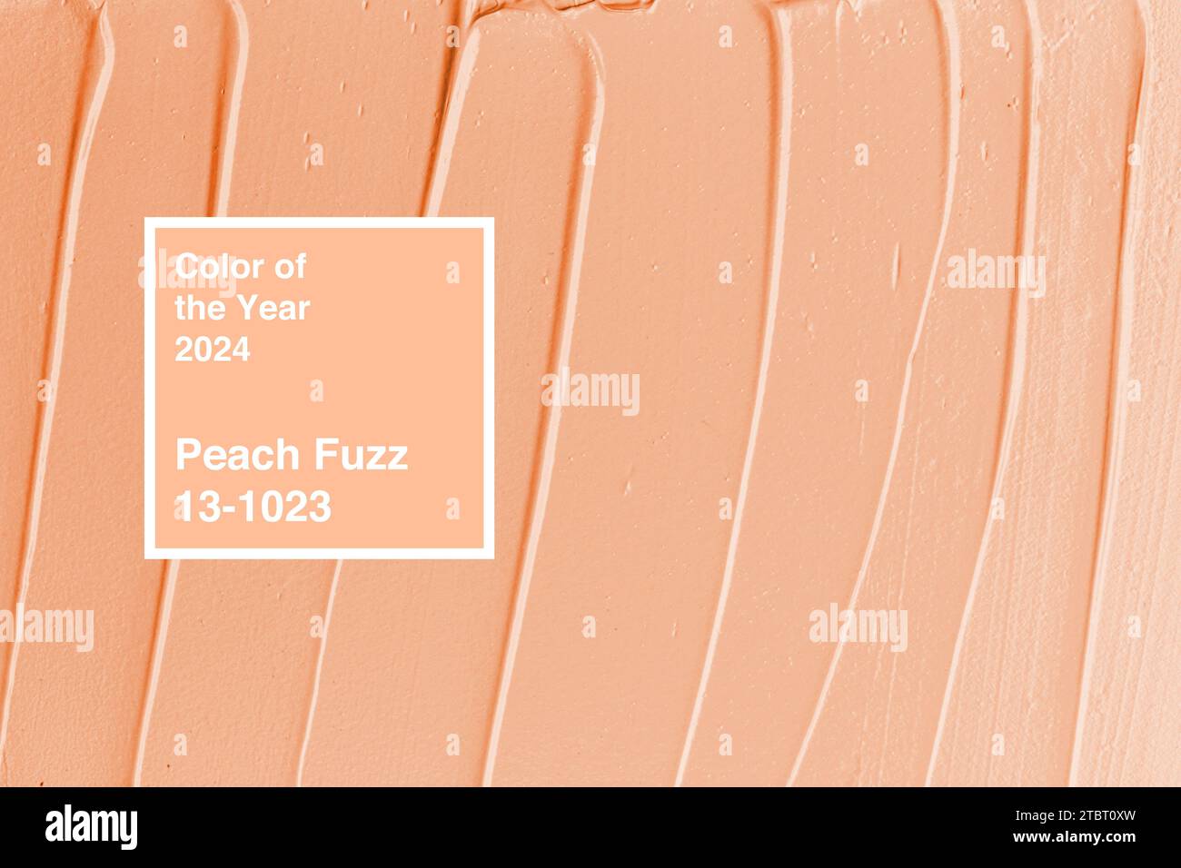 Cosmetic Stains Of Peach Fuzz Color Of The Year 2024 Stock Photo Alamy   Cosmetic Stains Of Peach Fuzz Color Of The Year 2024 2TBT0XW 